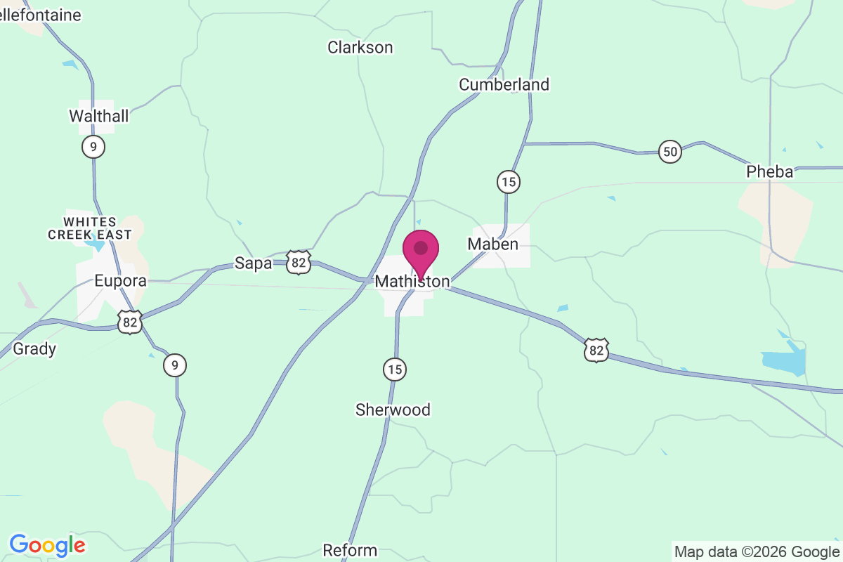 Mathiston map