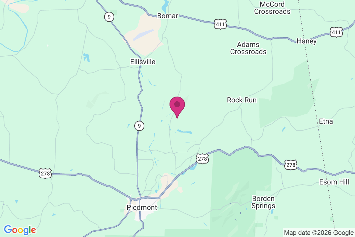 Sanford Springs map