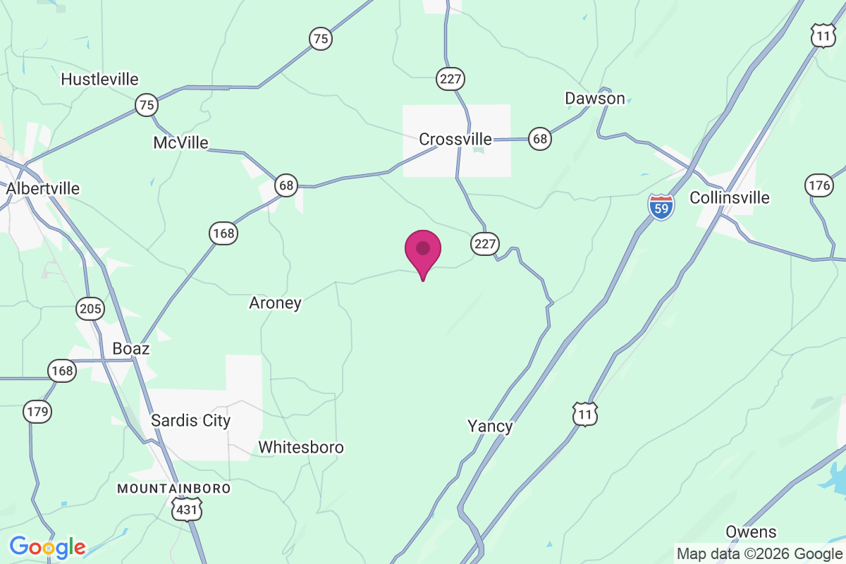 Rodentown map
