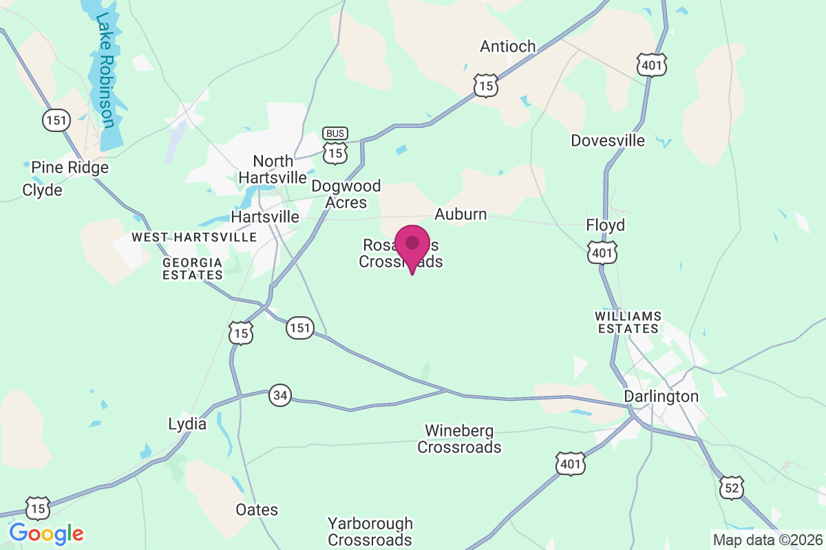 Rosa Lees Crossroads map
