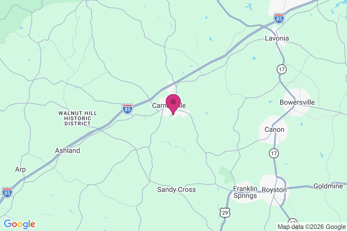 Carnesville map