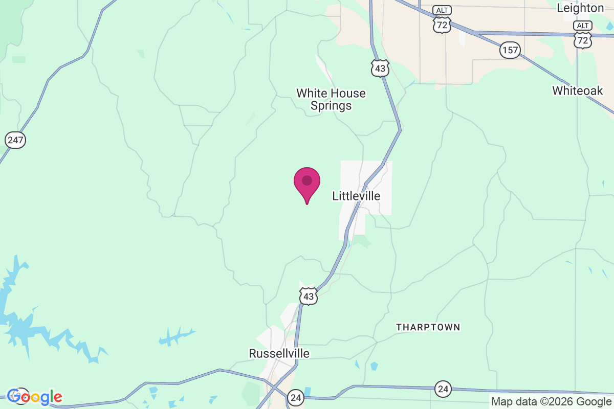 Ligon Springs map