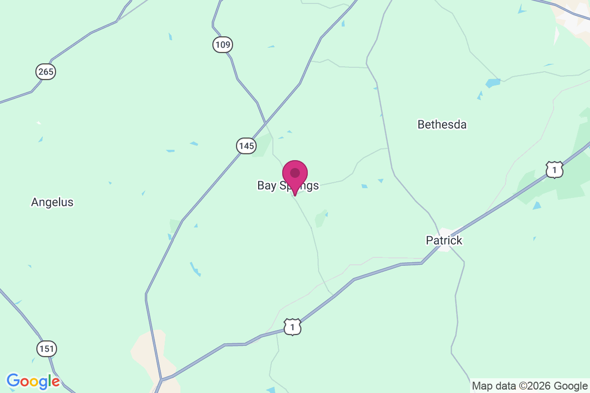 Bay Springs map