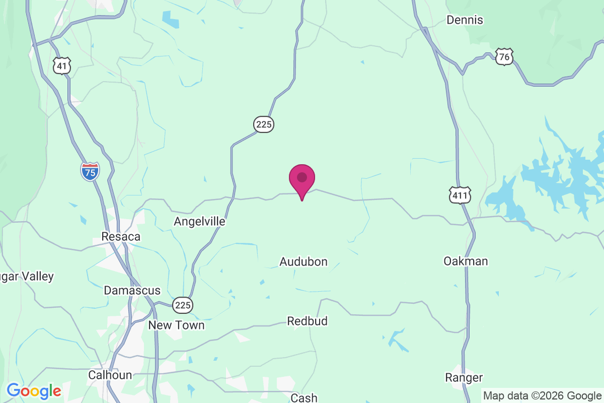 Fidelle map