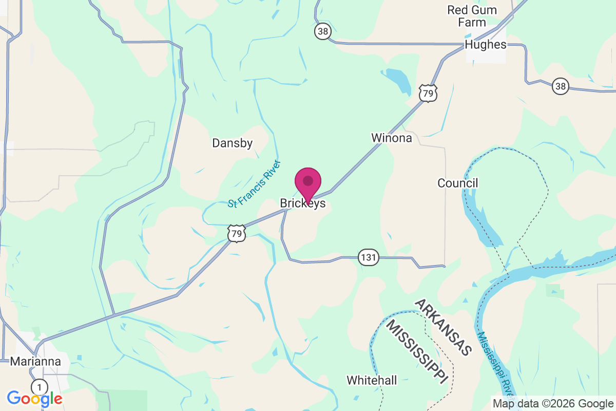 Brickeys map
