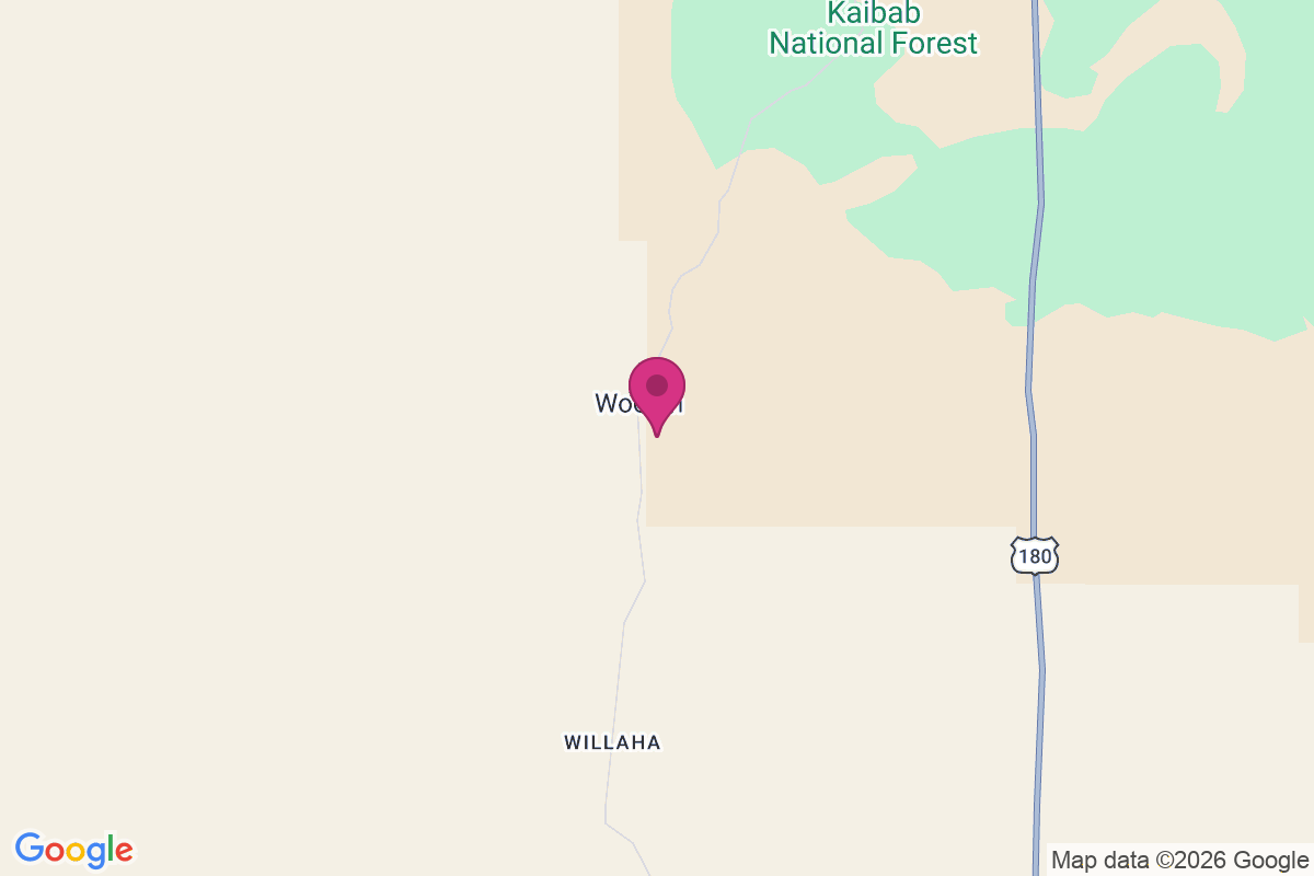 Woodin map