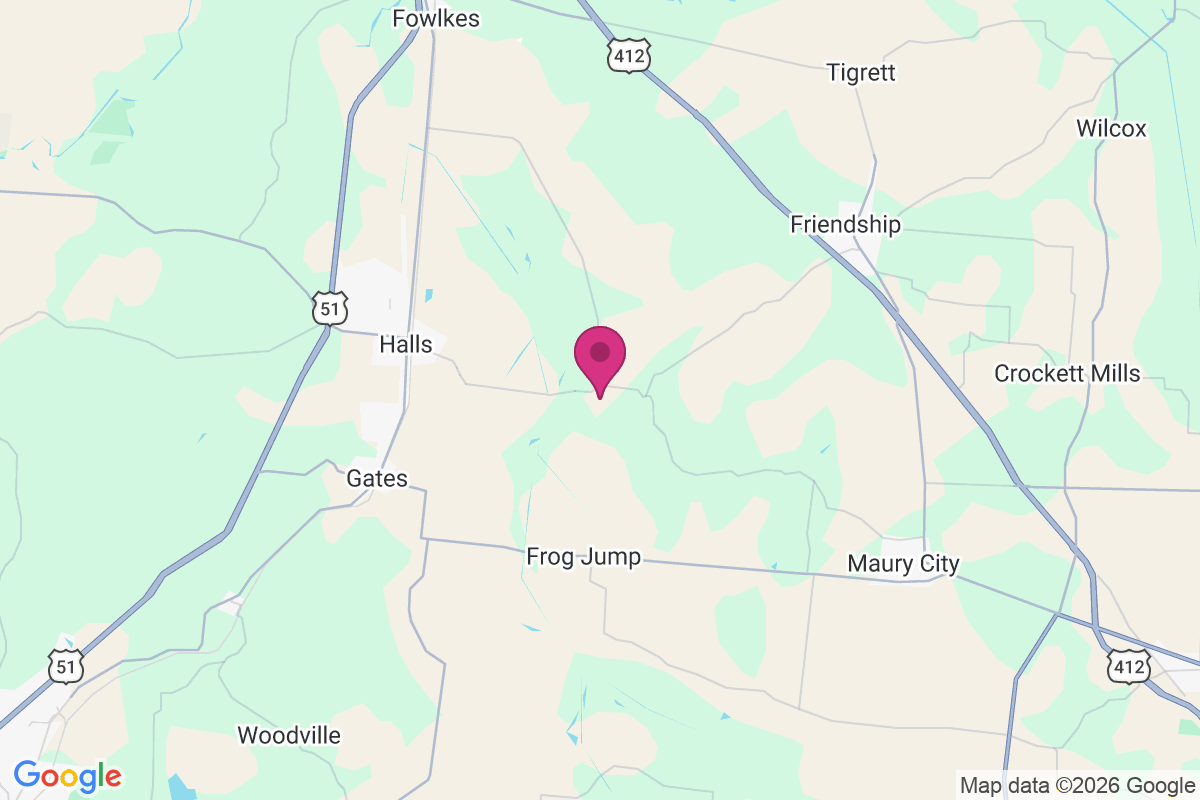 Chestnut Bluff map