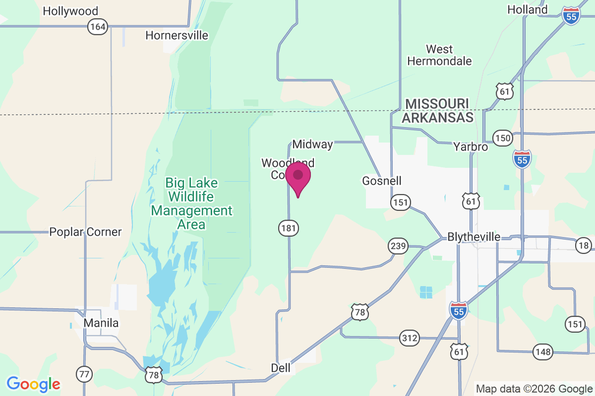 Little Green Store map