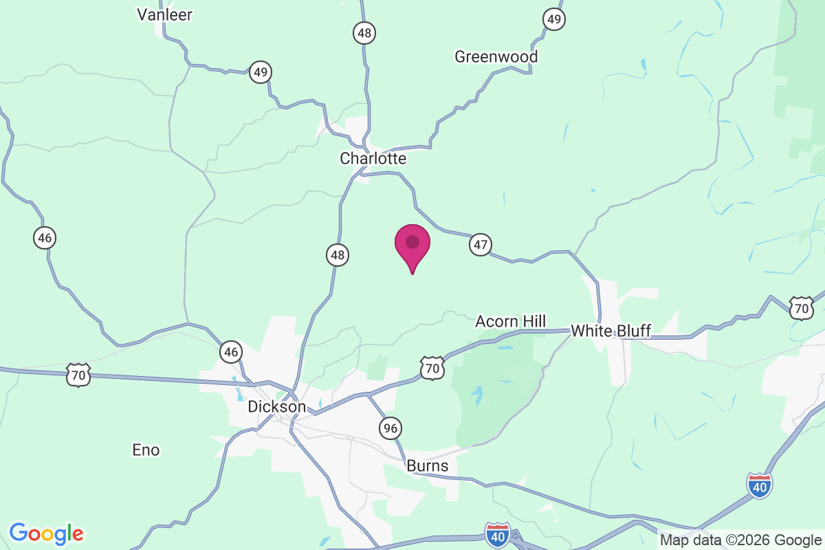Belleview map
