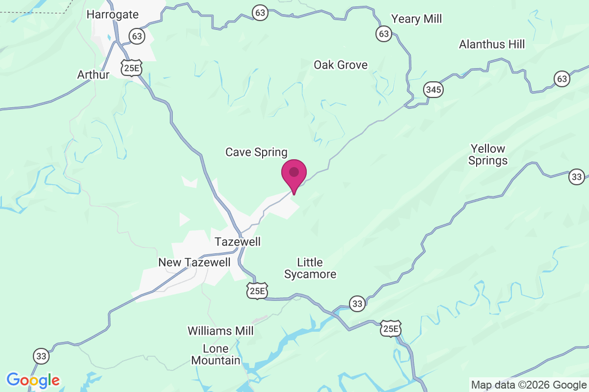 Mason Springs map