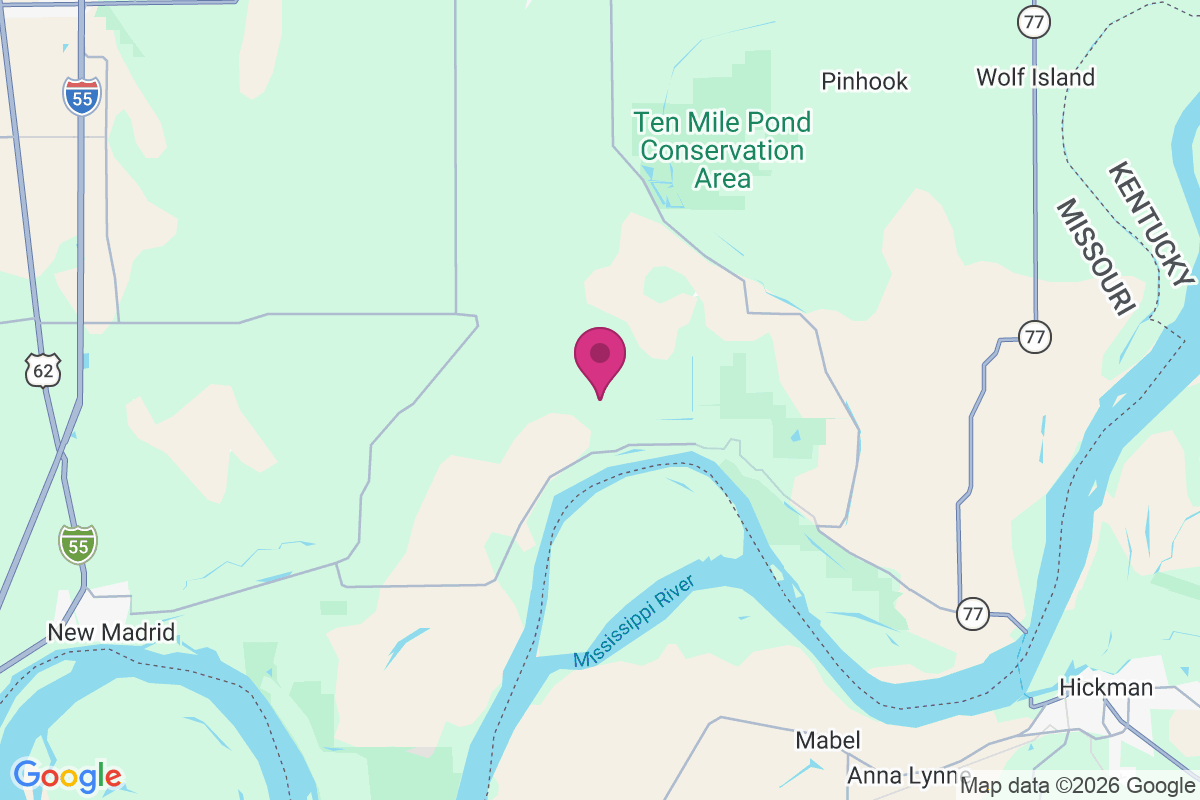 Bayouville map