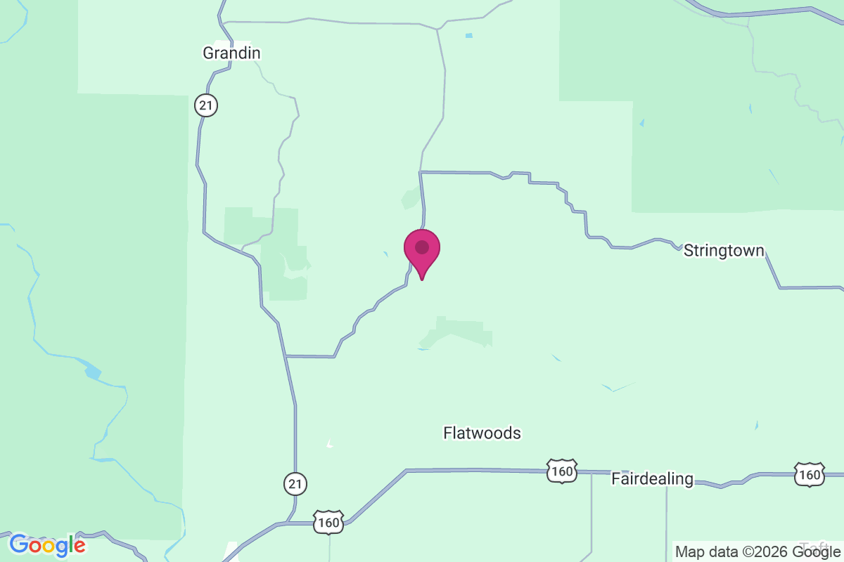 Greenville Ford map