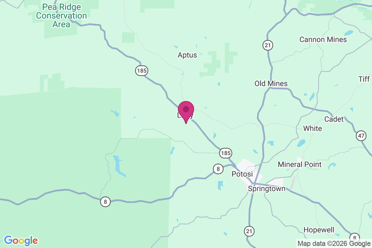 Latty map