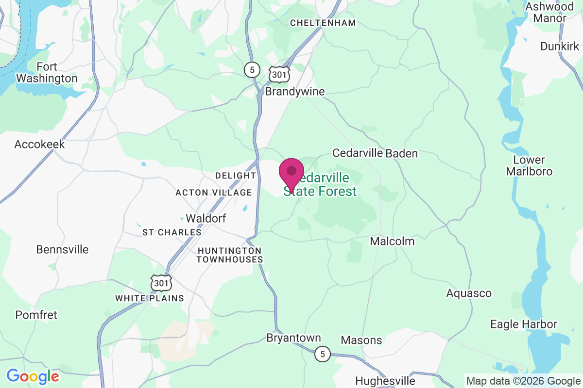 Pinefield map