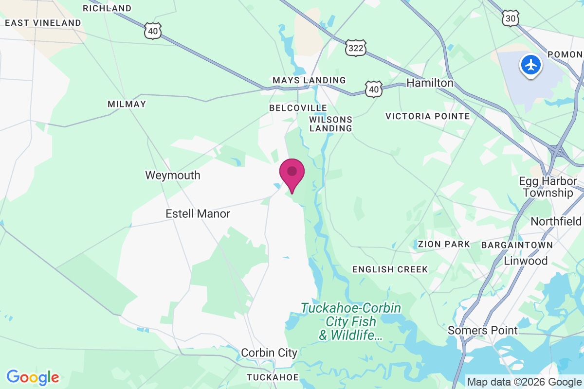 Estellville map