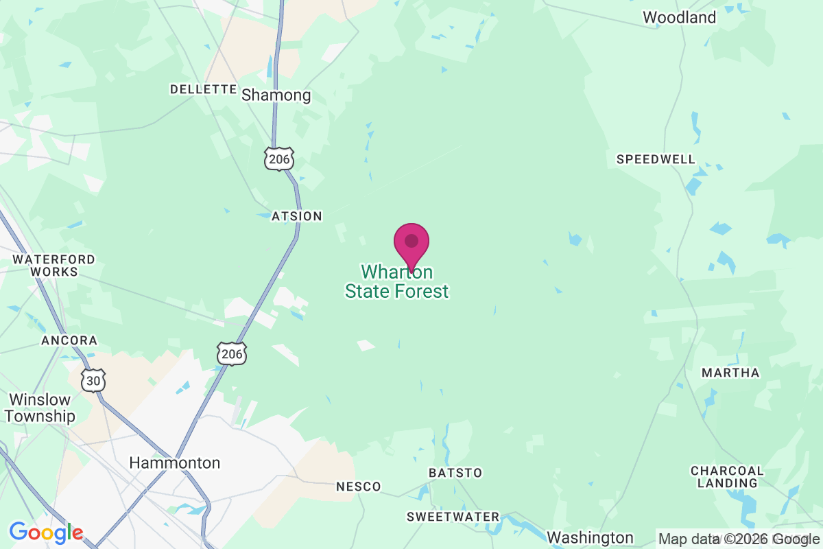 Lower Forge map