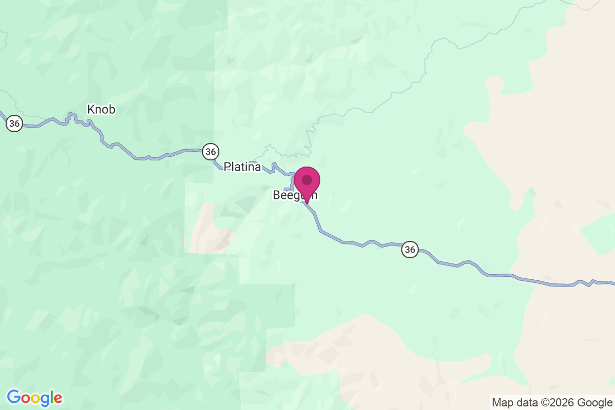 Beegum map