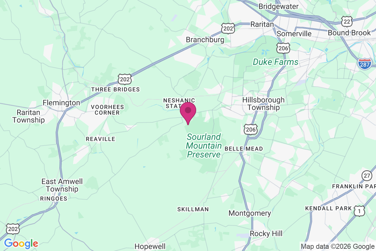 Neshanic map