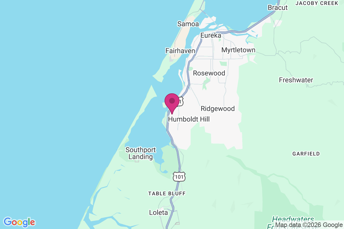 King Salmon map