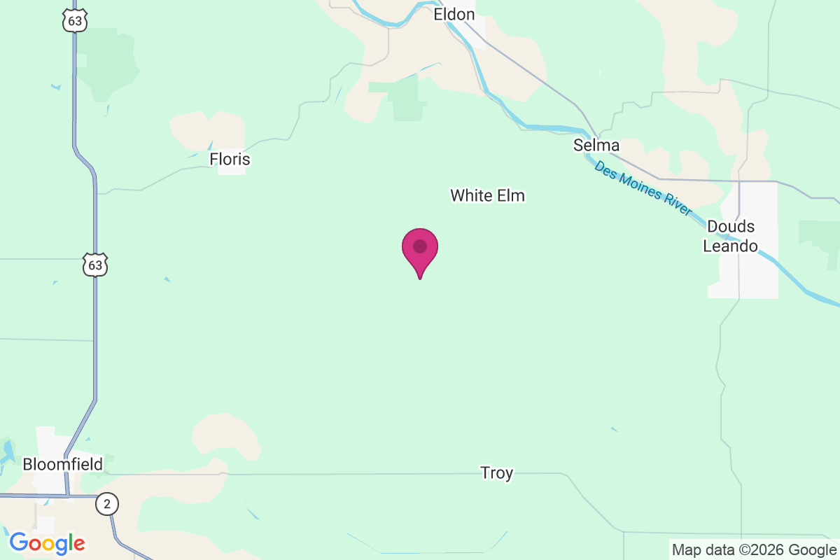 Chequest map