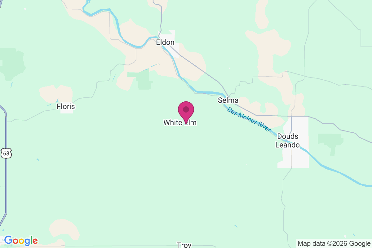 White Elm map