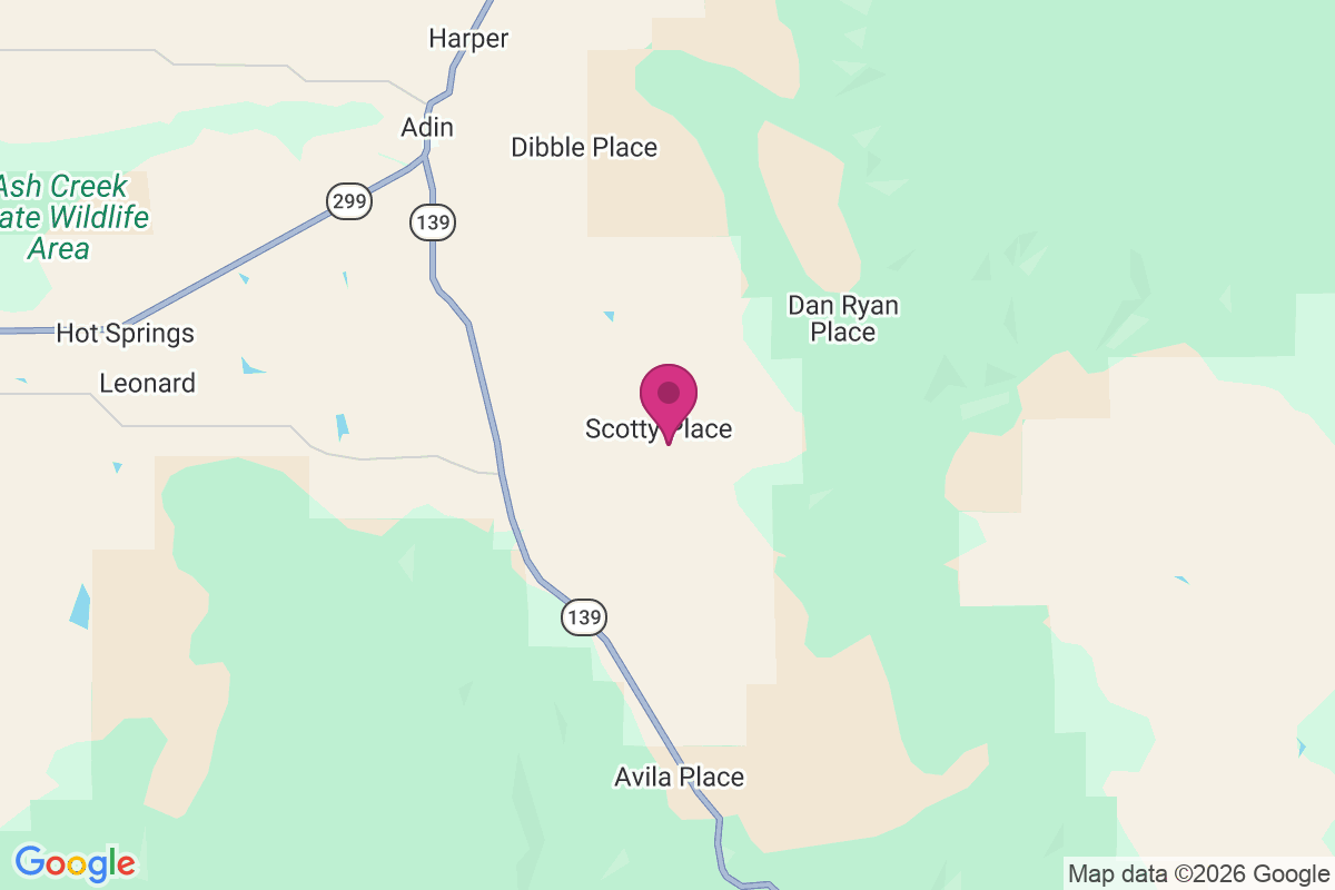 Scotty Place map