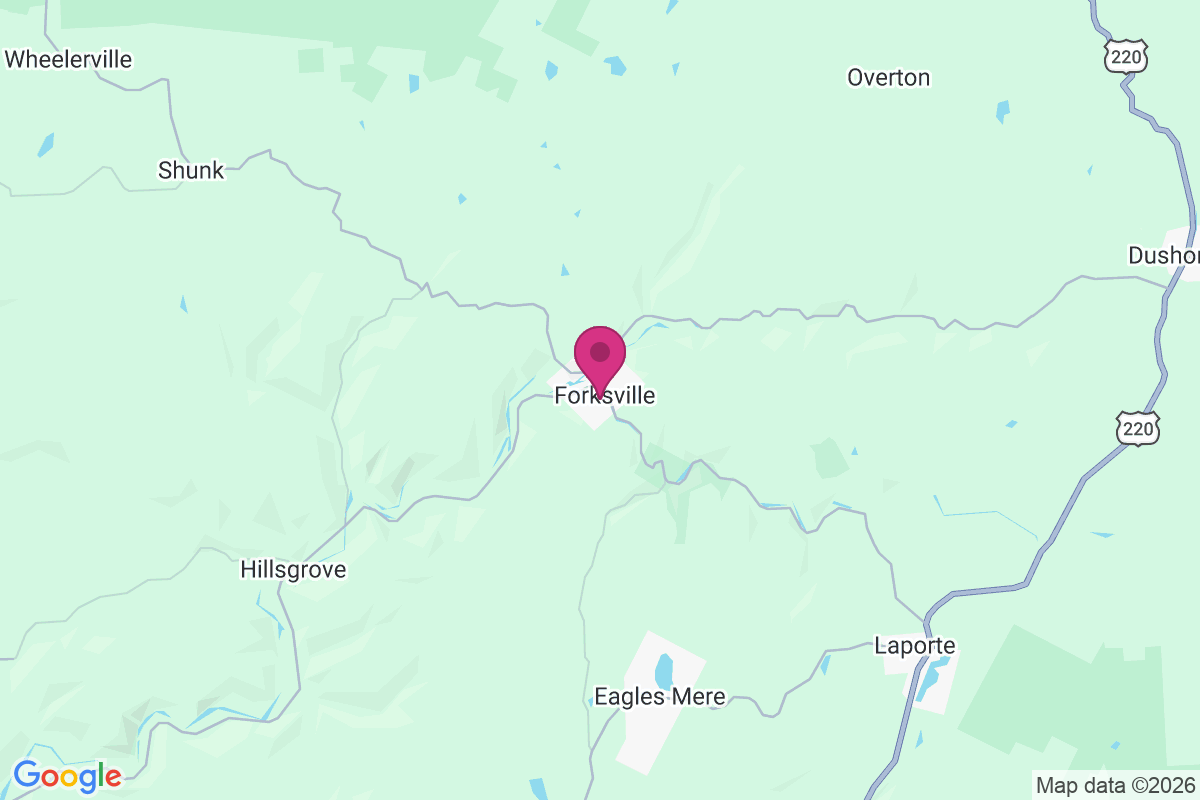 Forksville map