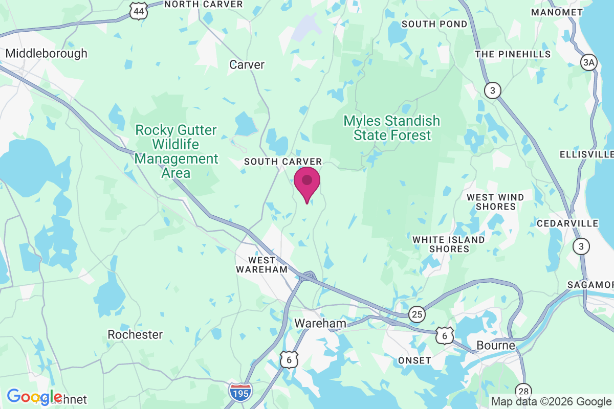 Pine Tree Village map