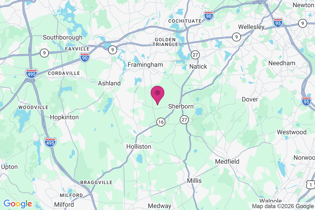 Whitneys map