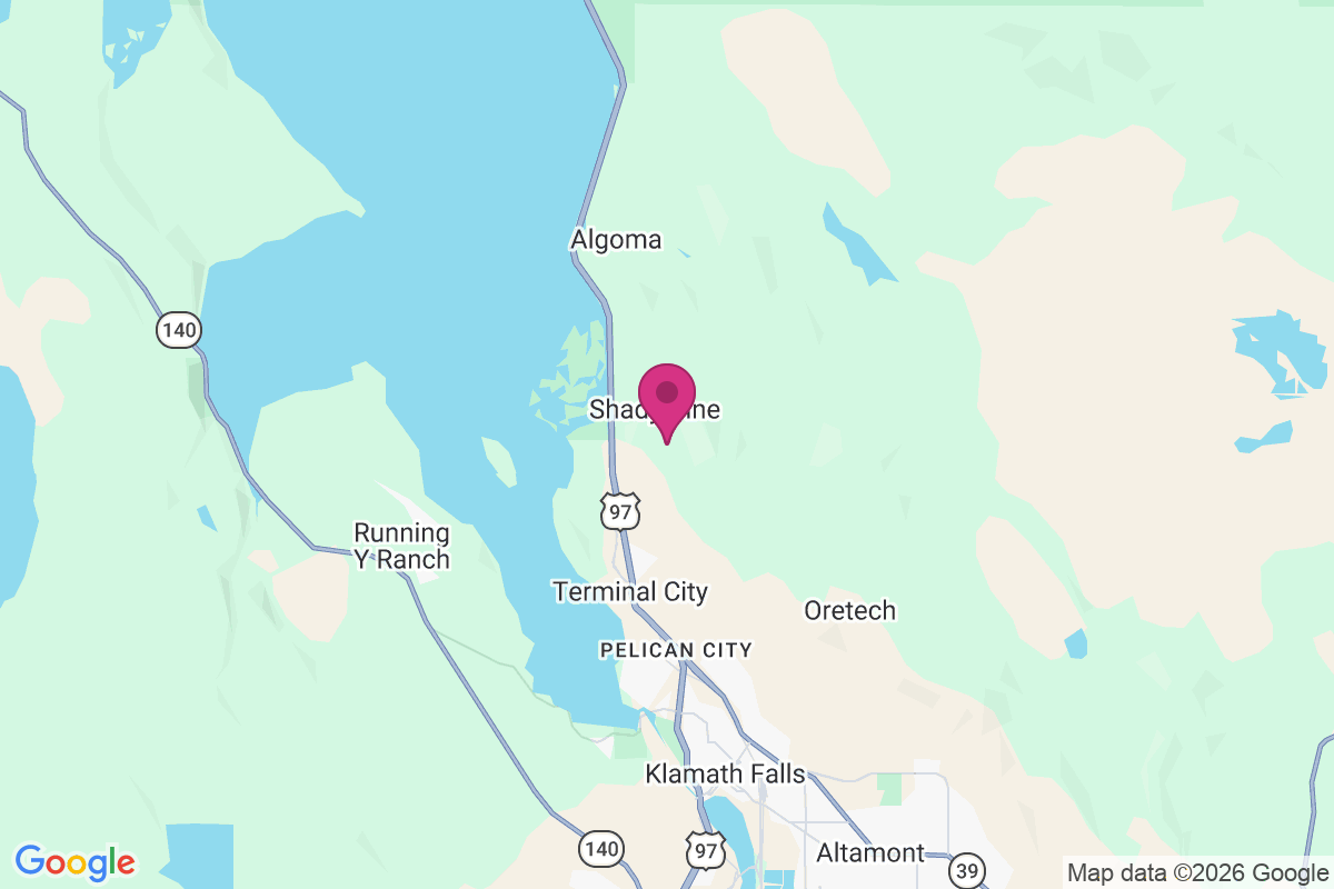 Shady Pine map