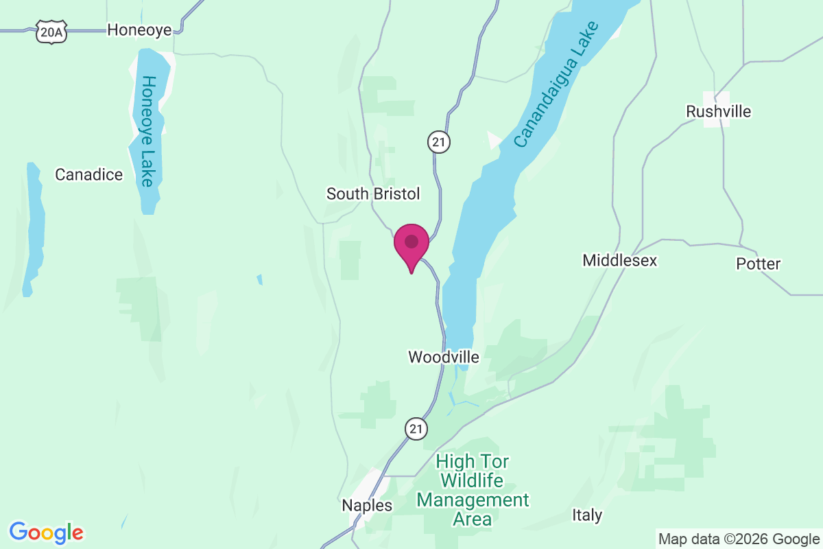 Bristol Springs map
