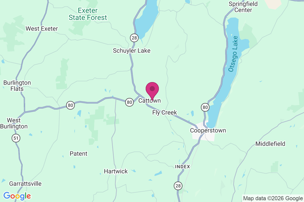 Cattown map