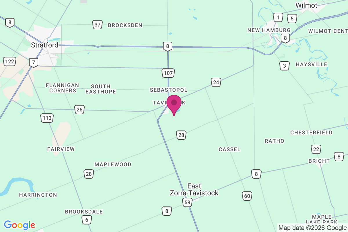 Tavistock map