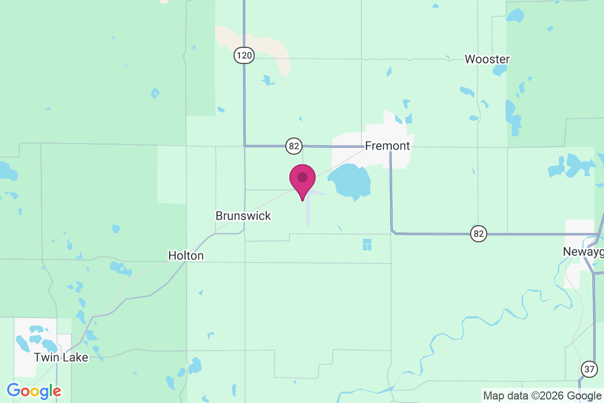 Reeman map