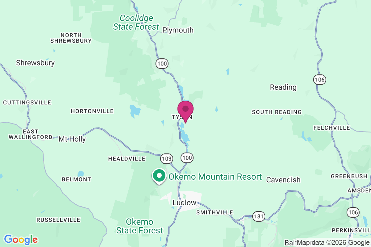Tyson map