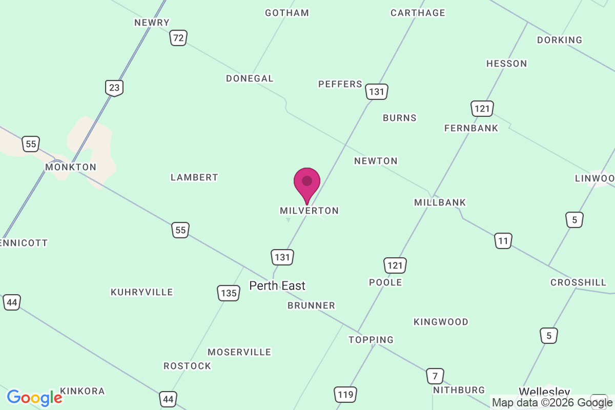 Newton map
