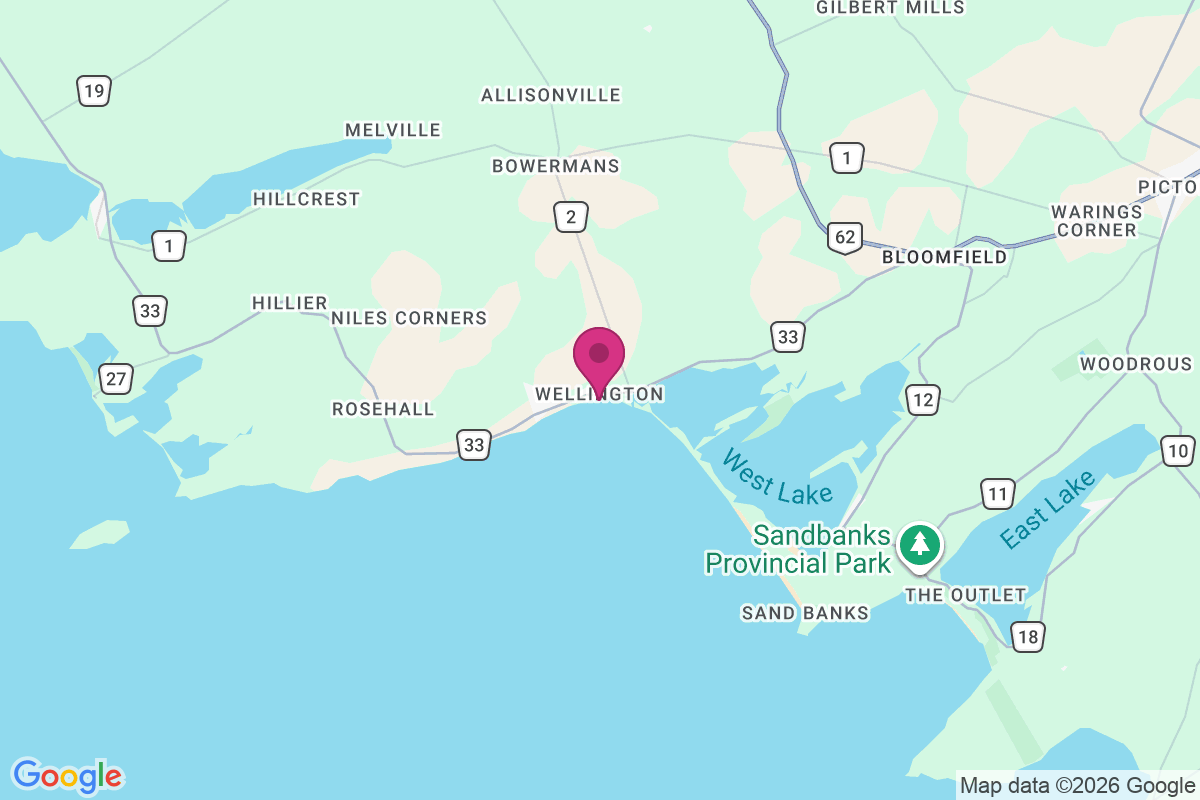 Wellington map