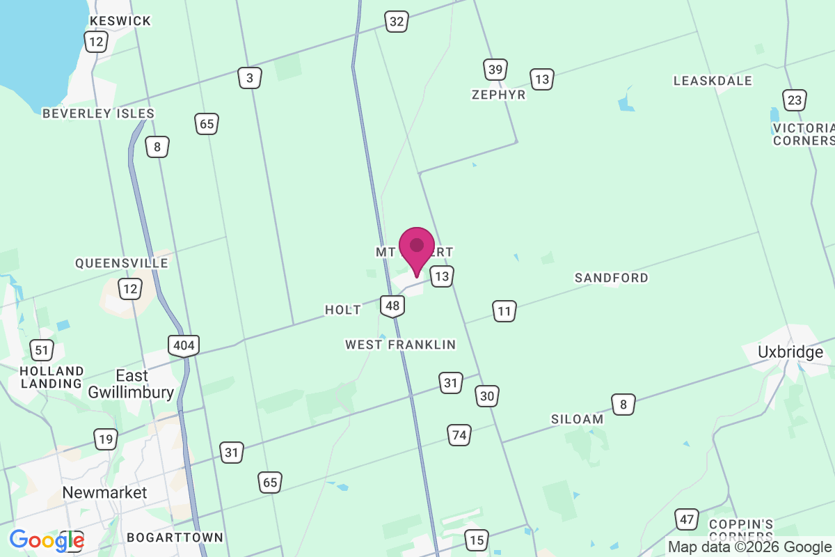 Mount Albert map
