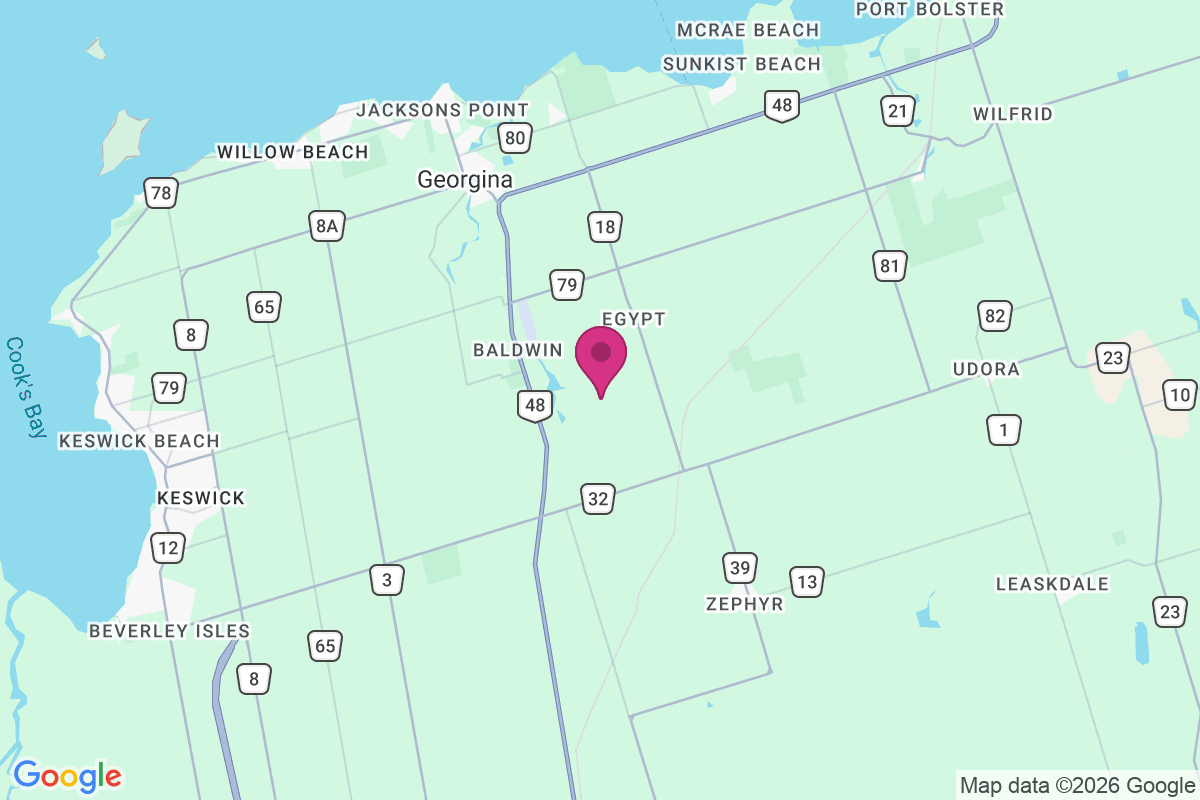 Georgina map