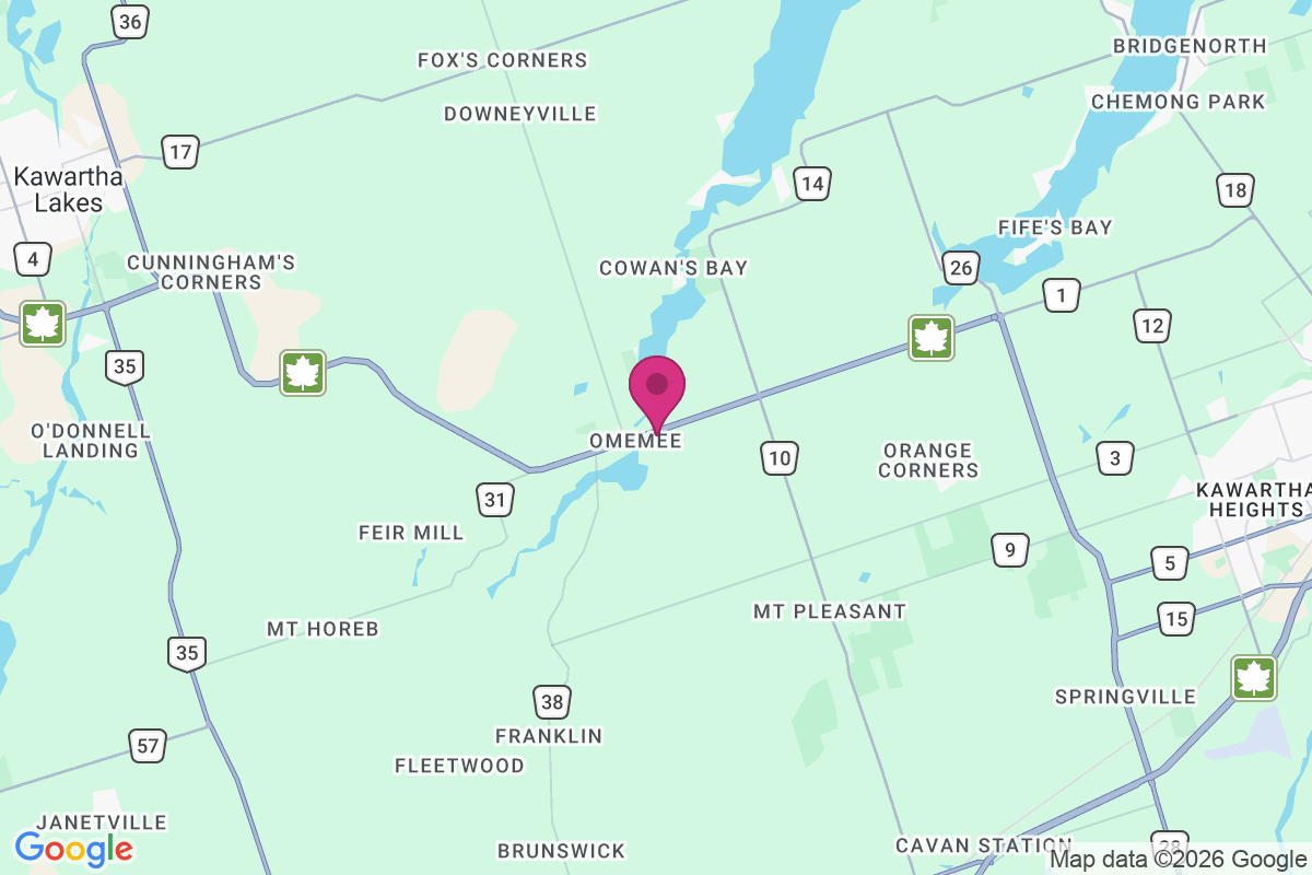 Omemee map