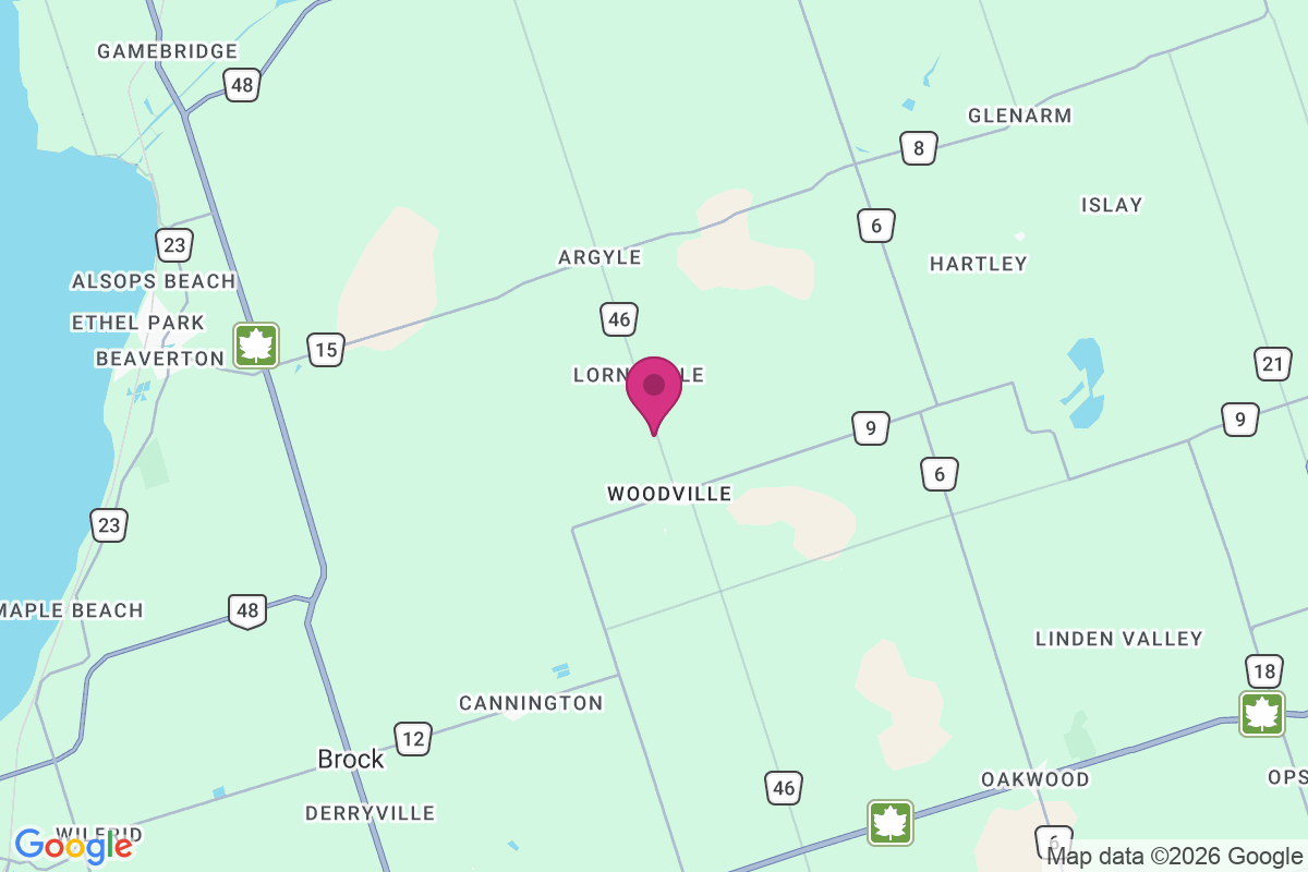 Lorneville map