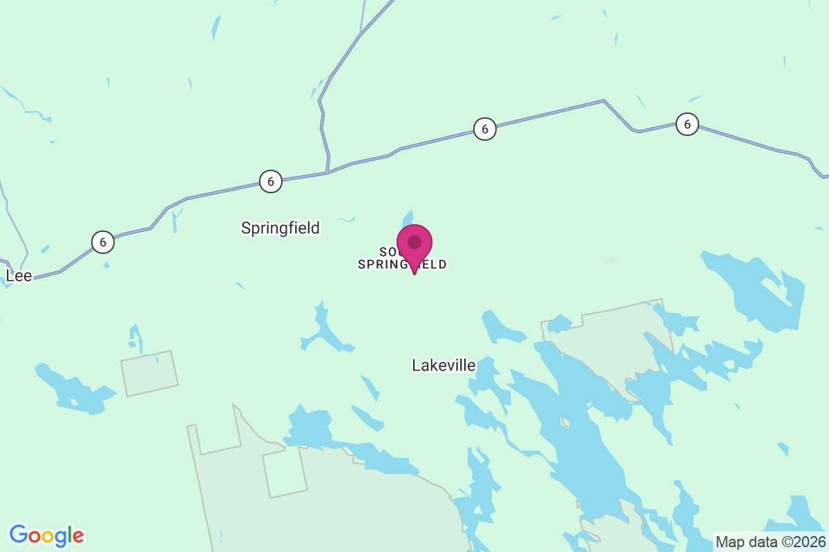 South Springfield map