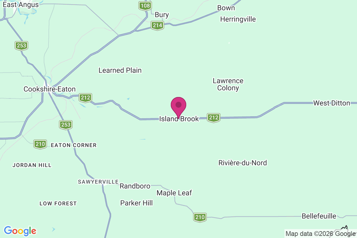 Island Brook map