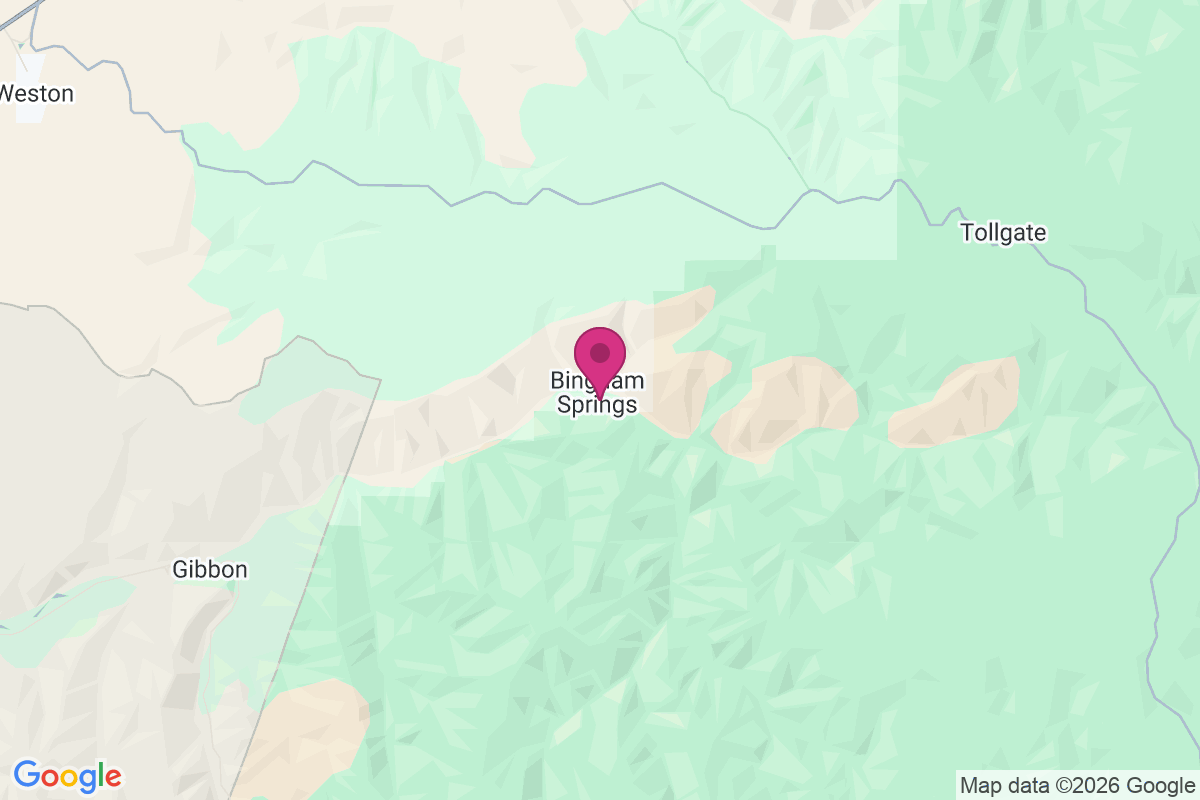 Bingham Springs map