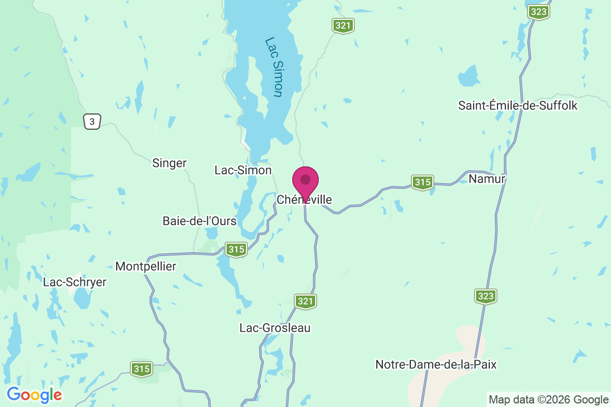 Duhamel map
