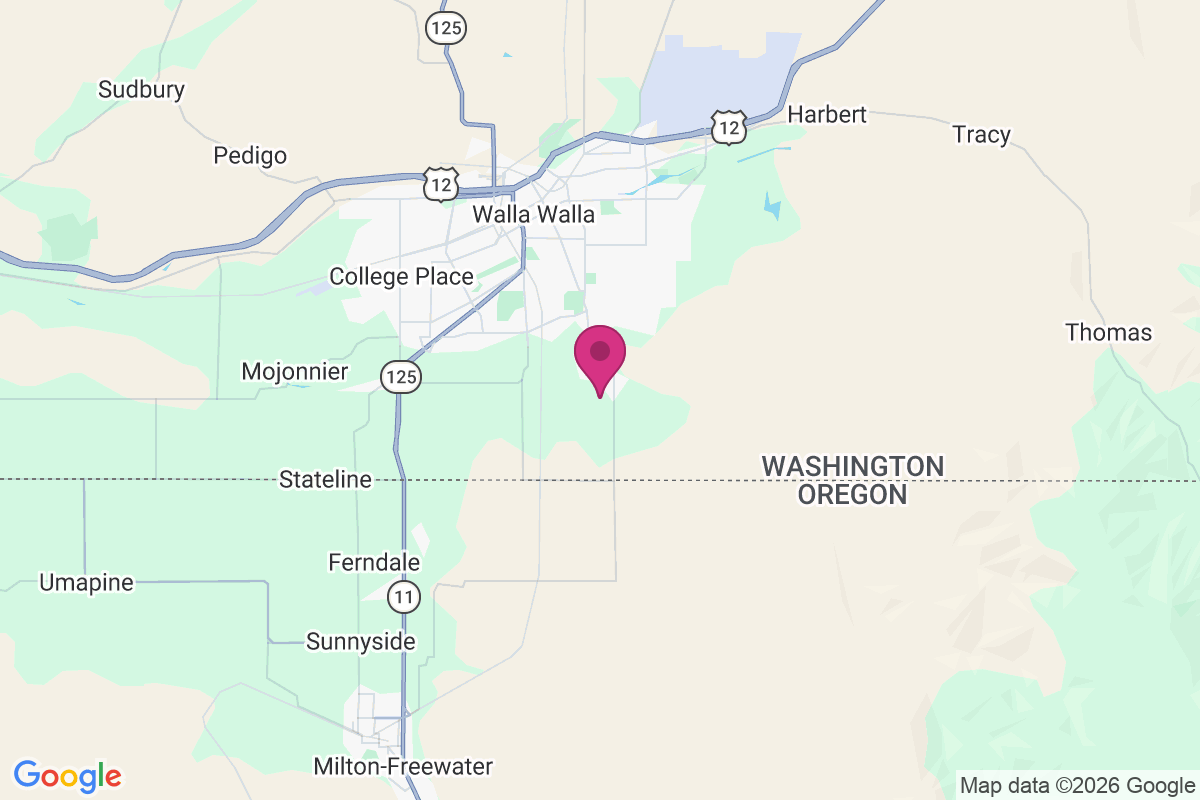 Baker-Langdon map
