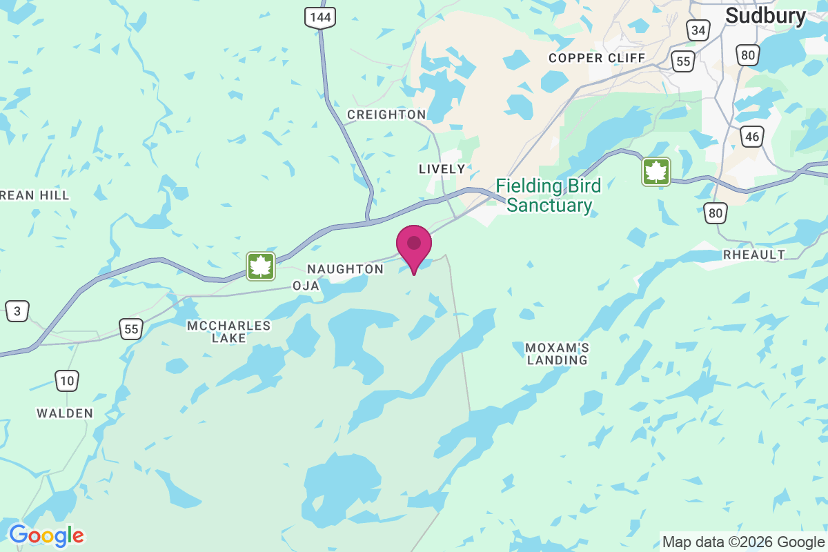 Naughton map