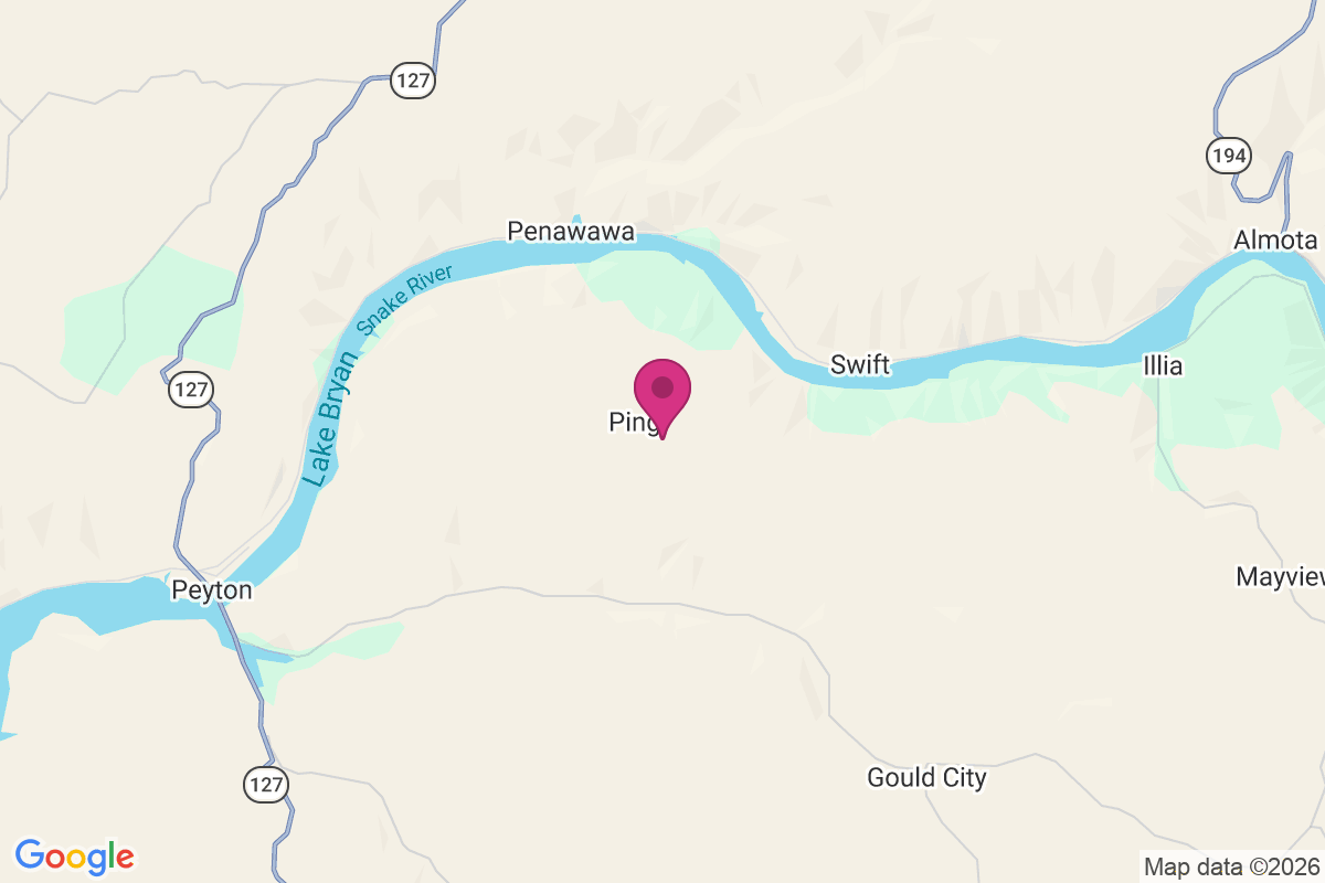 Ping map