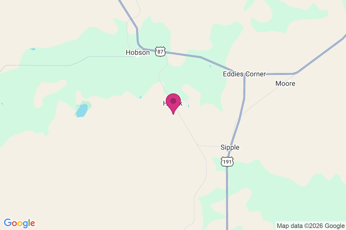Hauck map