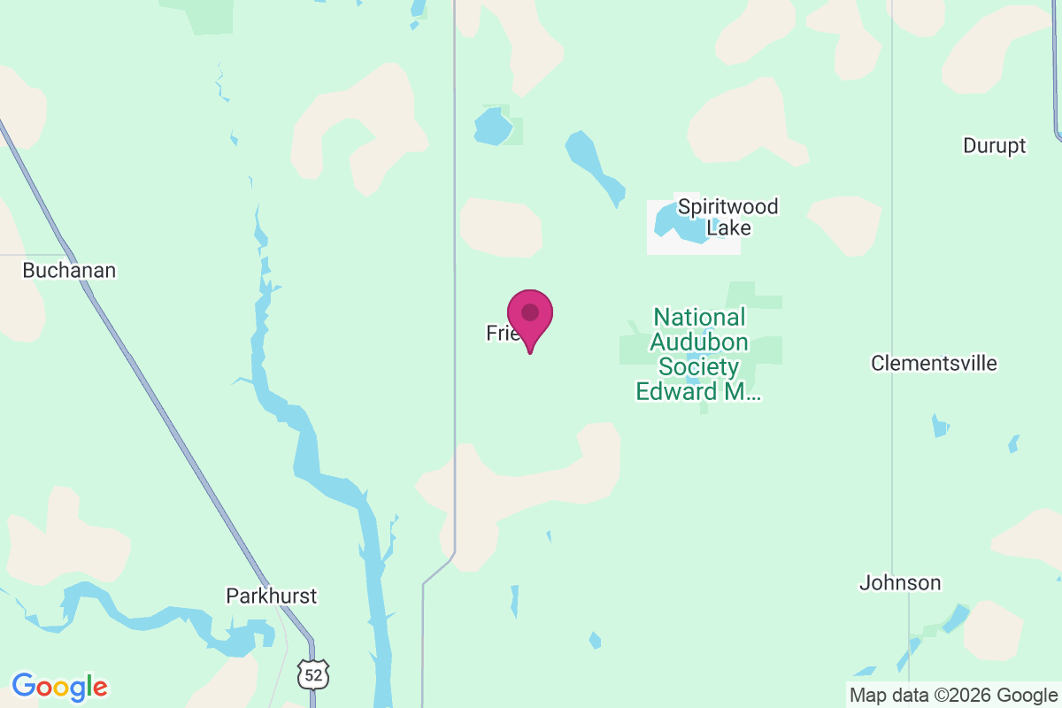Fried map